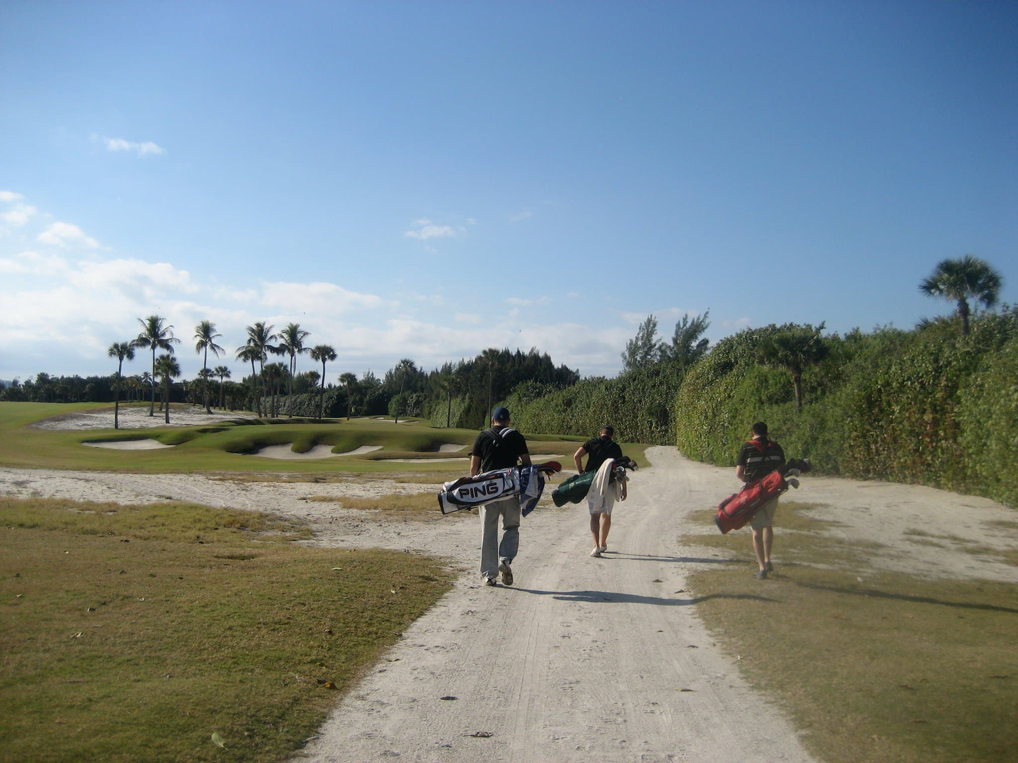 TPL Photo